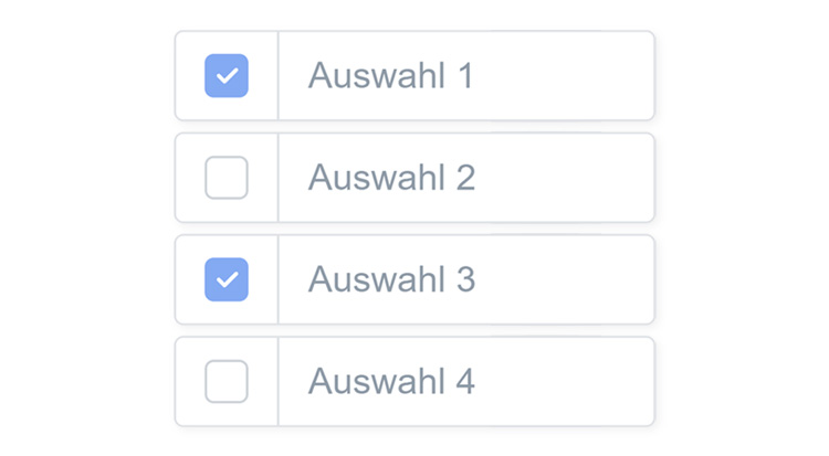 Screenshot eines Hirely Bewerbungsformulares