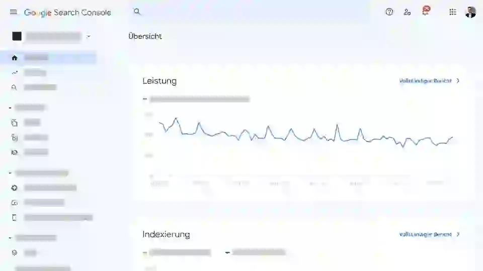 Screenshot von Google Search Console