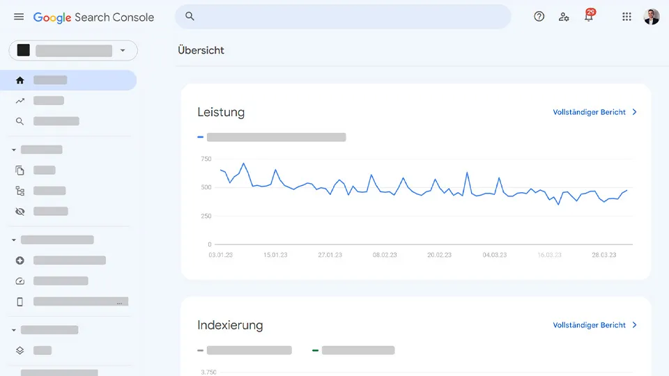 Screenshot von Google Search Console